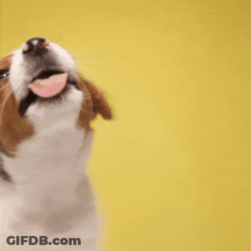 Tongue Out Tuesday Meme GIF