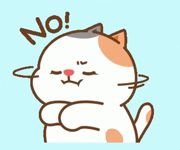 Tonton Cat Angry No GIF