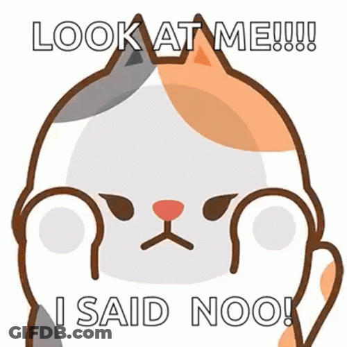 Tonton Cat I Said No GIF