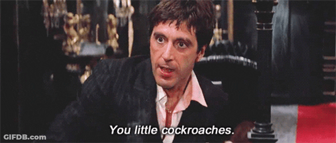 Tony Montana You Little Cockroaches GIF