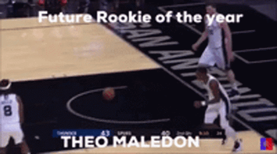 Tony Parker Theo Maledon GIF