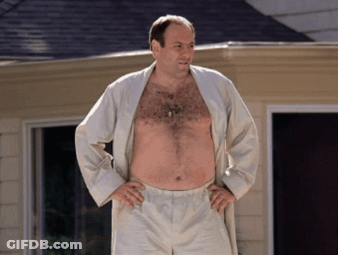 Tony Soprano In Robe GIF