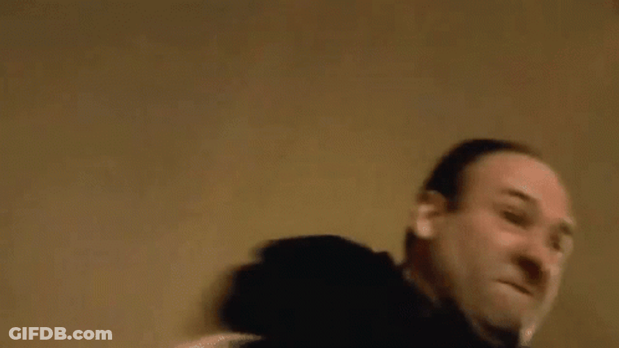 Tony Soprano Punching GIF