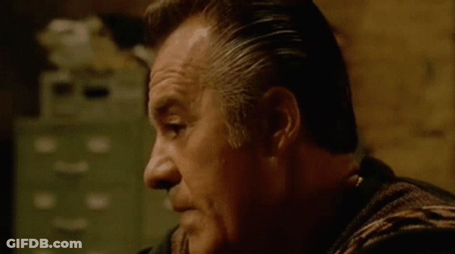 Tony Soprano Siblings GIF