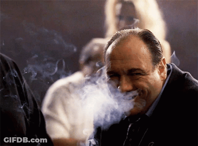 Tony Soprano Smiling GIF