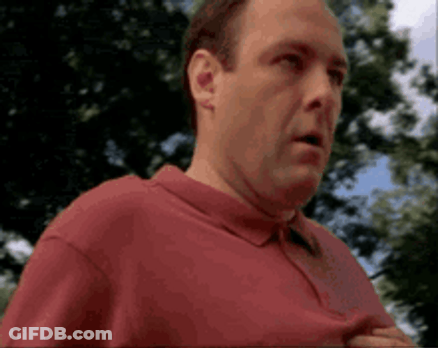 Tony Sopranos Having Panic Attack GIF