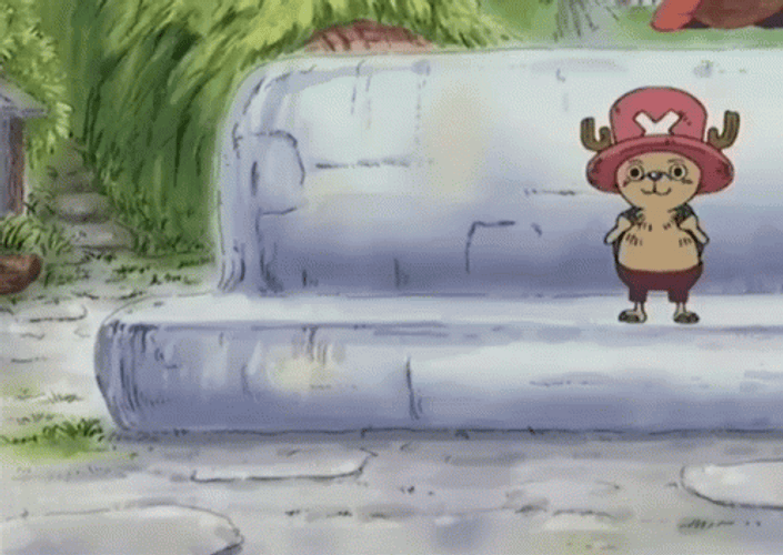 Tony Tony Chopper Aye Run GIF