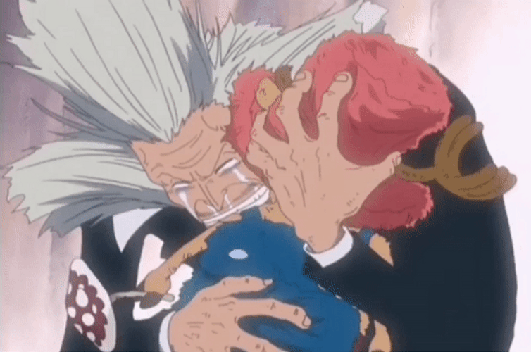 Tony Tony Chopper Doctor Hiruluk Hug GIF