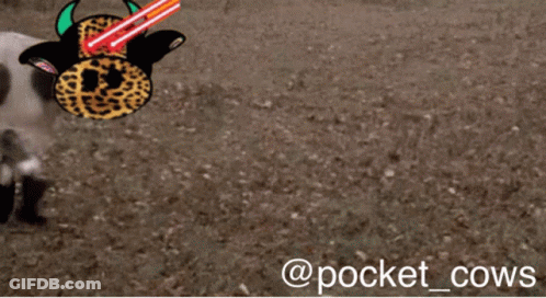 Tony Tony Chopper In Pink And Yellow Hat GIF