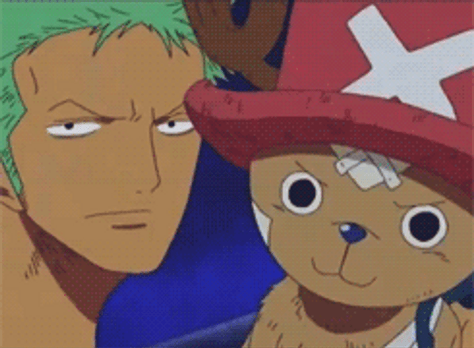 Tony Tony Chopper Zoro Choke GIF
