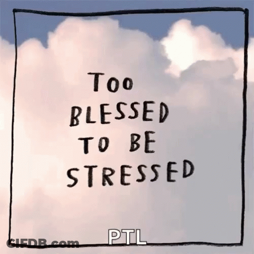 Too Blessed To Be Stressed PTL GIF