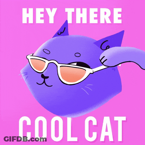 Too Cool Animated Cat Winks GIF