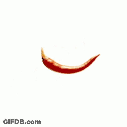 Too Hot Chopped Chilly GIF