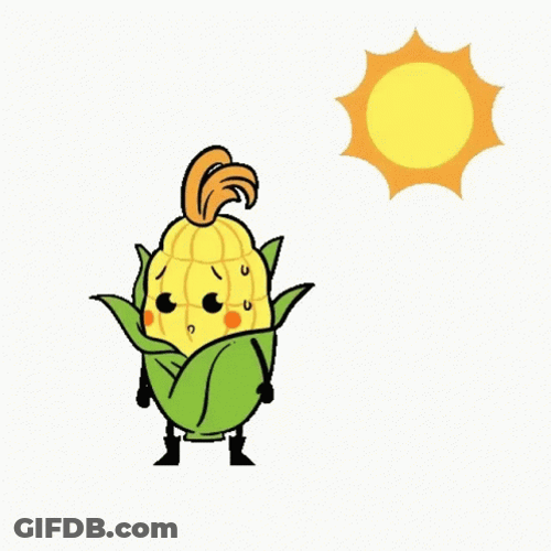 Too Hot Corn Had Pop GIF