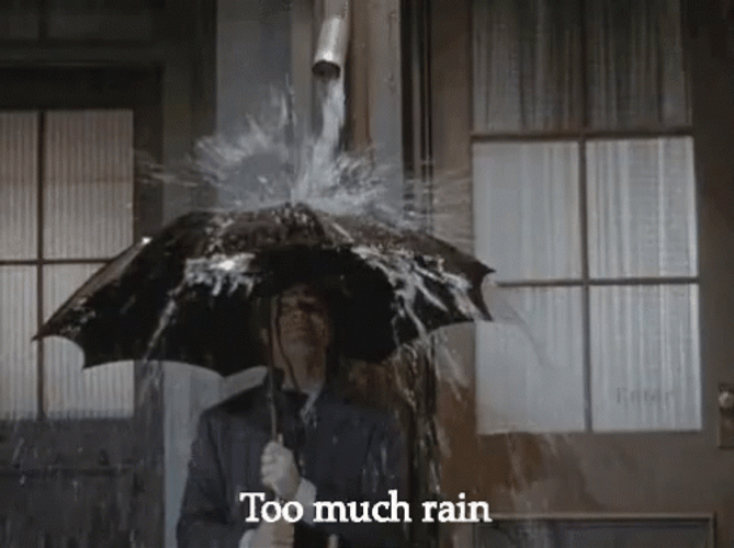 Too Much Rain Water GIF