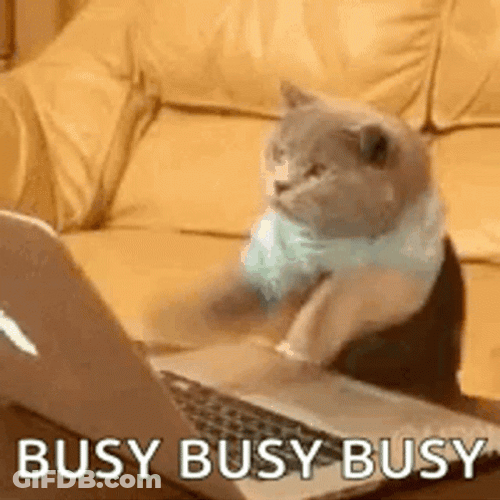 Too Much Work Frantic Kitty Typing Job GIF