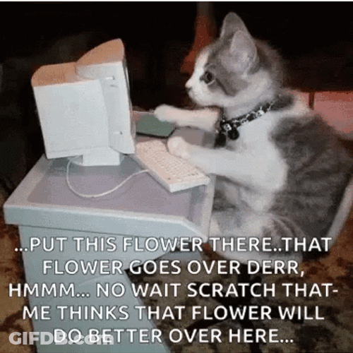 Too Much Work Workaholic Kitten GIF