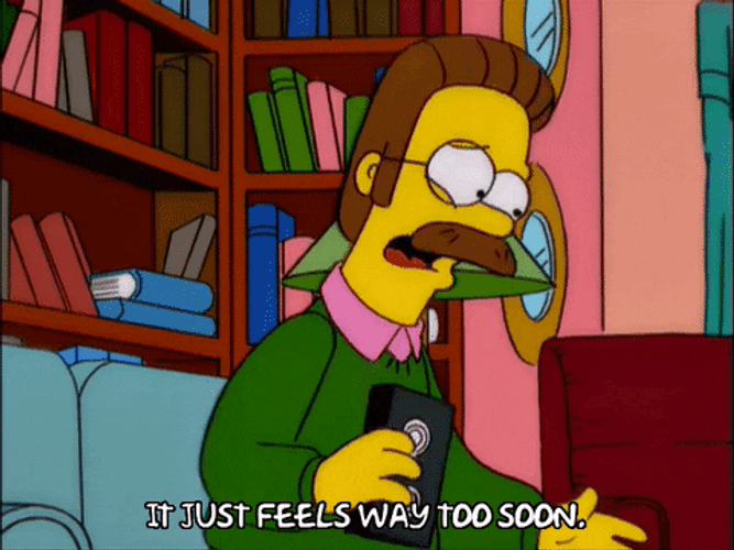 Too Soon The Simpsons Ned Flanders GIF