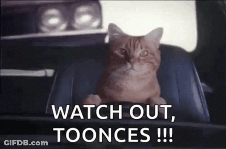 Toonces The Driving Cat GIF