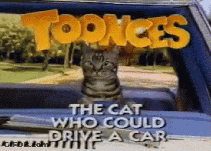 Toonces The Driving Cat GIF