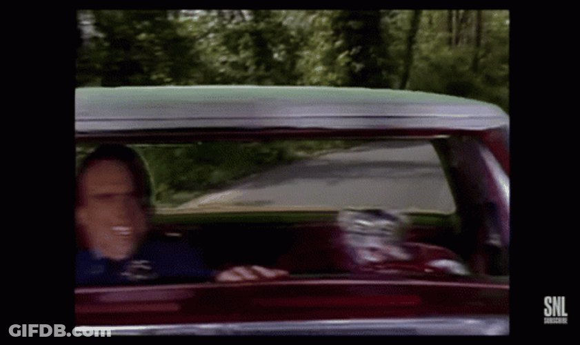 Toonces The Driving Cat GIF