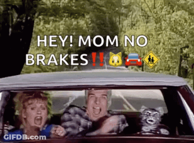 Toonces The Driving Cat GIF