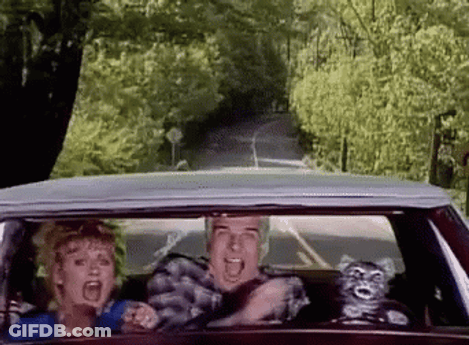 Toonces The Driving Cat GIF