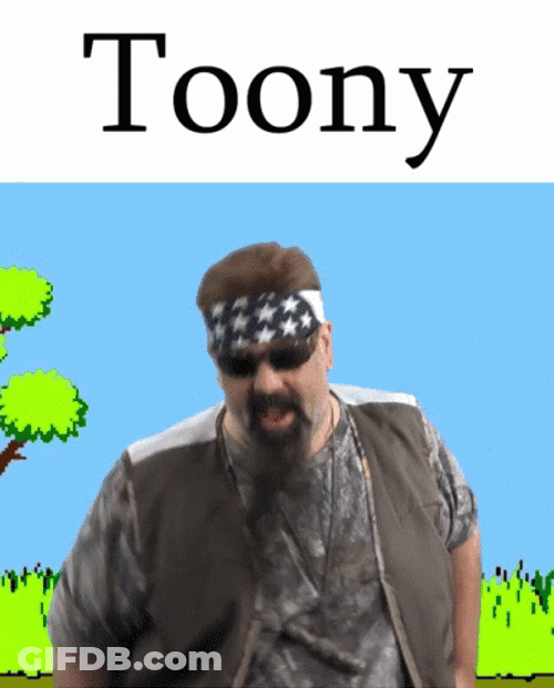 Toony The Duck Hunt GIF