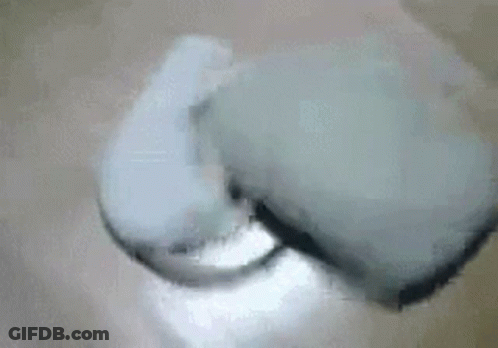 Toothbrush Cleaning Tooth With Toothpaste GIF