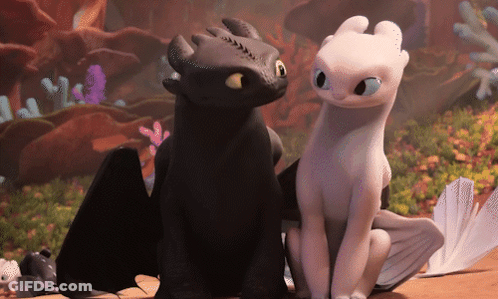 Toothless And Light Fury From How To Train Your Dragon Are Looking At Each Other GIF