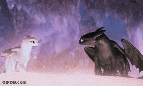 Toothless And Light Fury From How To Train Your Dragon Are Standing Next To Each Other On A Hill . GIF