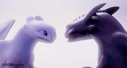 Toothless And Light Fury From How To Train Your Dragon Looking At Each Other GIF