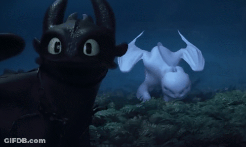 Toothless And Light Fury Standing Next To Each Other In The Dark GIF