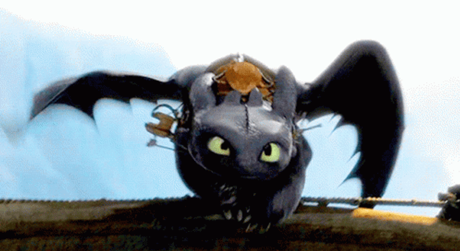Toothless Brief Smile GIF