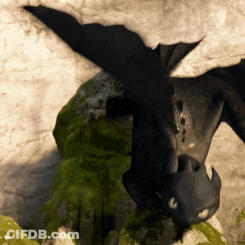 Toothless Flying Over Rock GIF