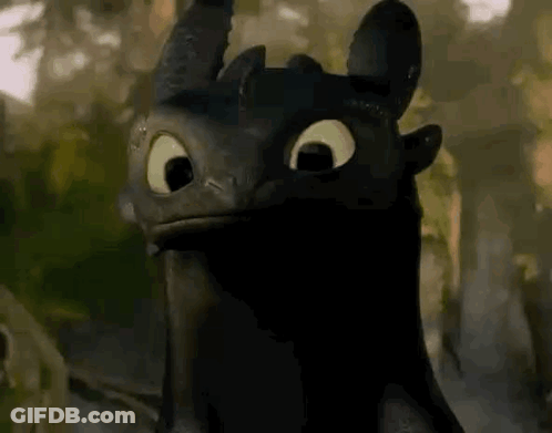 Toothless From How To Train Your Dragon Is Looking At The Camera With A Serious Look On His Face . GIF