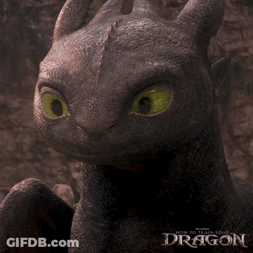 Toothless From How To Train Your Dragon Is Shown In A Close Up GIF