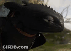 Toothless From How To Train Your Dragon Is Standing In A Field Looking At The Camera . GIF
