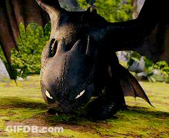 Toothless From How To Train Your Dragon Looking At Camera With Wings Spread GIF