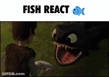 Toothless From How To Train Your Dragon Looking At Hiccup Holding A Fish GIF