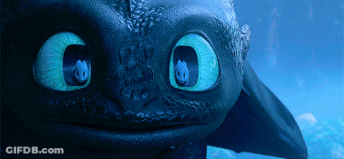 Toothless From How To Train Your Dragon Looks At The Camera GIF