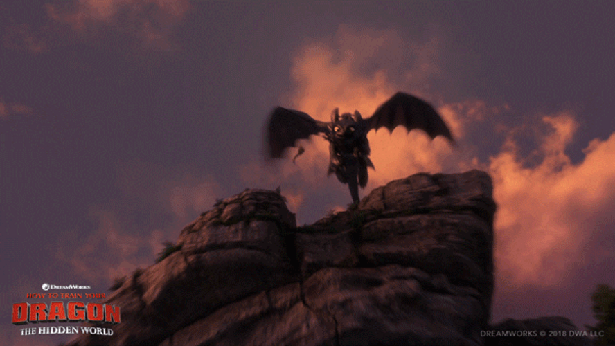Toothless High Speed Dance Flight Meme GIF