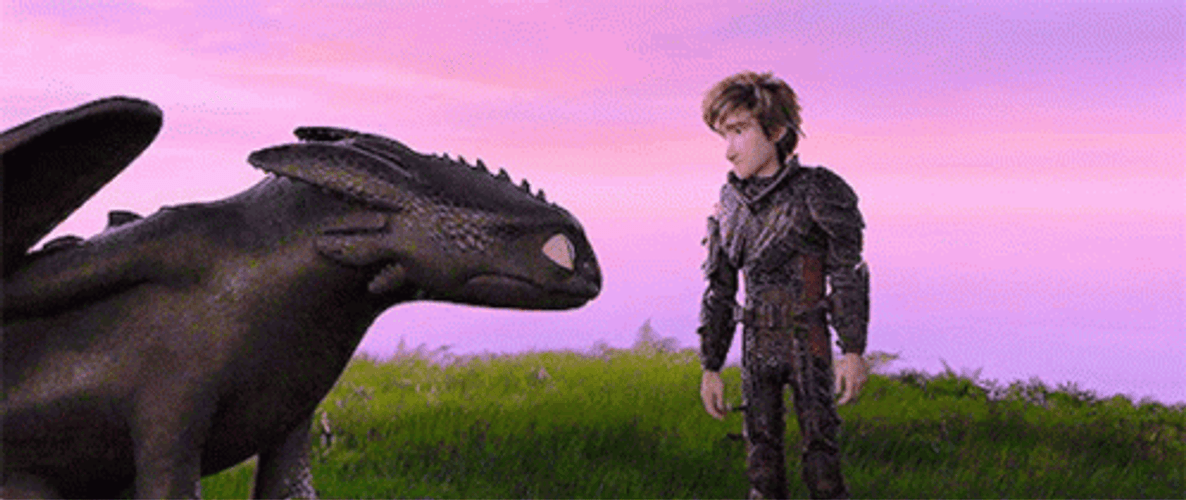 Toothless Hugging Hiccup GIF