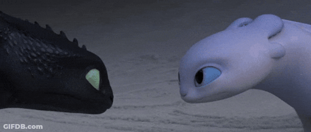 Toothless Light Fury Dance Face To Face Meme GIF