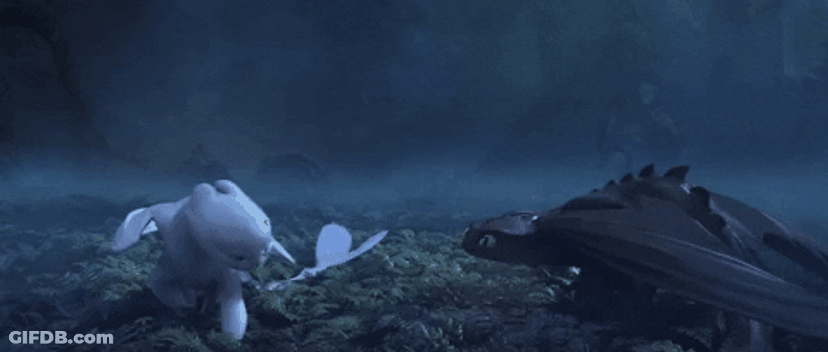 Toothless Light Fury Romantic Dance Meme GIF
