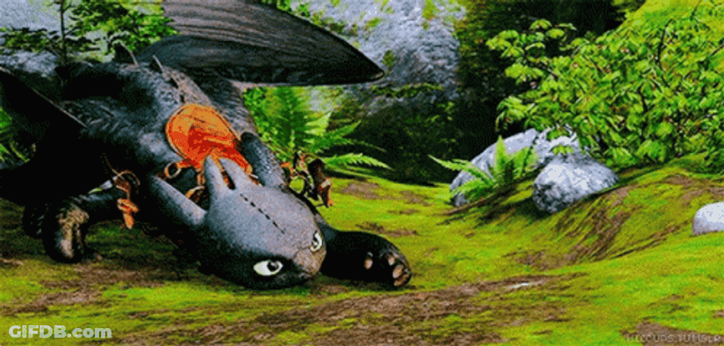 Toothless Meme Catching Flies GIF