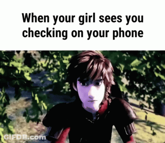 Toothless Meme Hiding On Masters Back GIF
