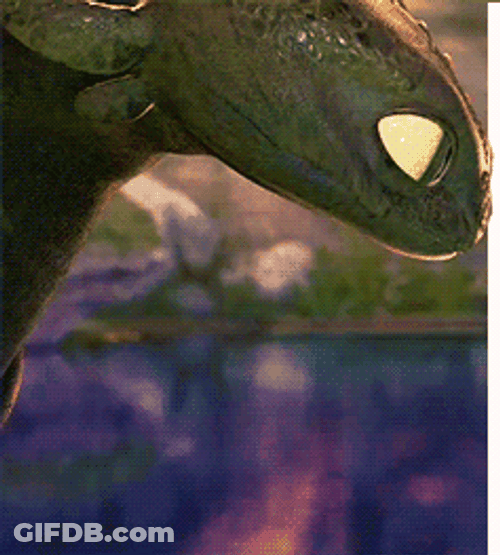 Toothless Opening His Eyes GIF