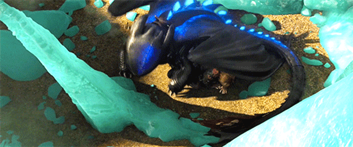 Toothless Protecting Hiccup GIF