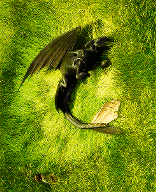 Toothless Rolling On Grass GIF